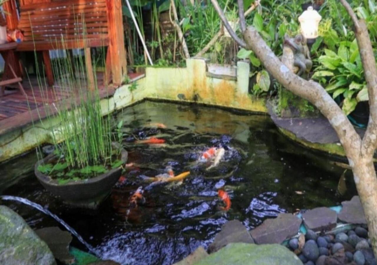 Bujak Permai Villa Matahari Lombok Ntb Praya Exterior photo